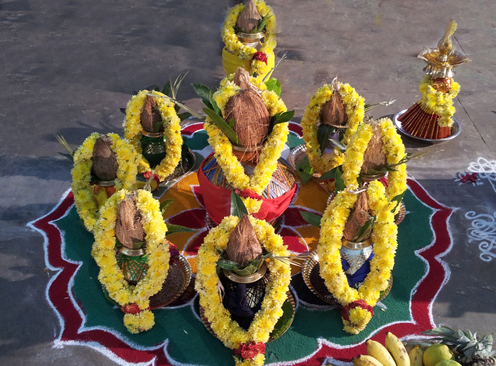 Mule Shanti